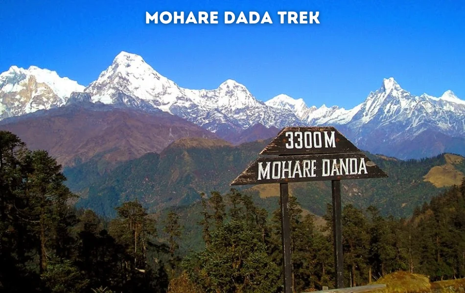Mohare Dada Trek, best short treks from Pokhara