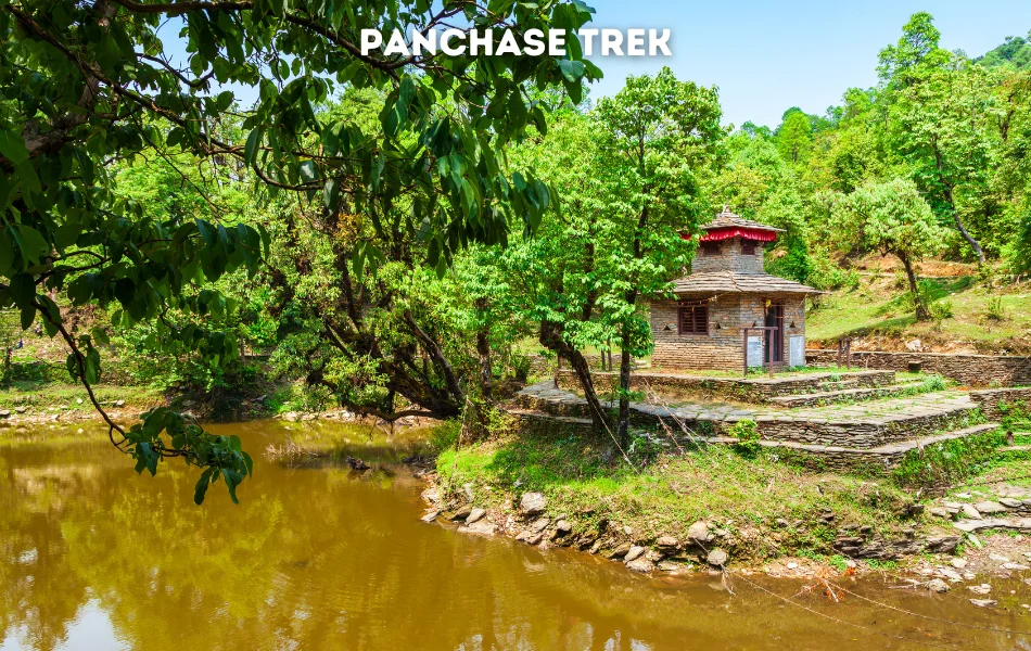 Panchase Trek, best short treks from Pokhara