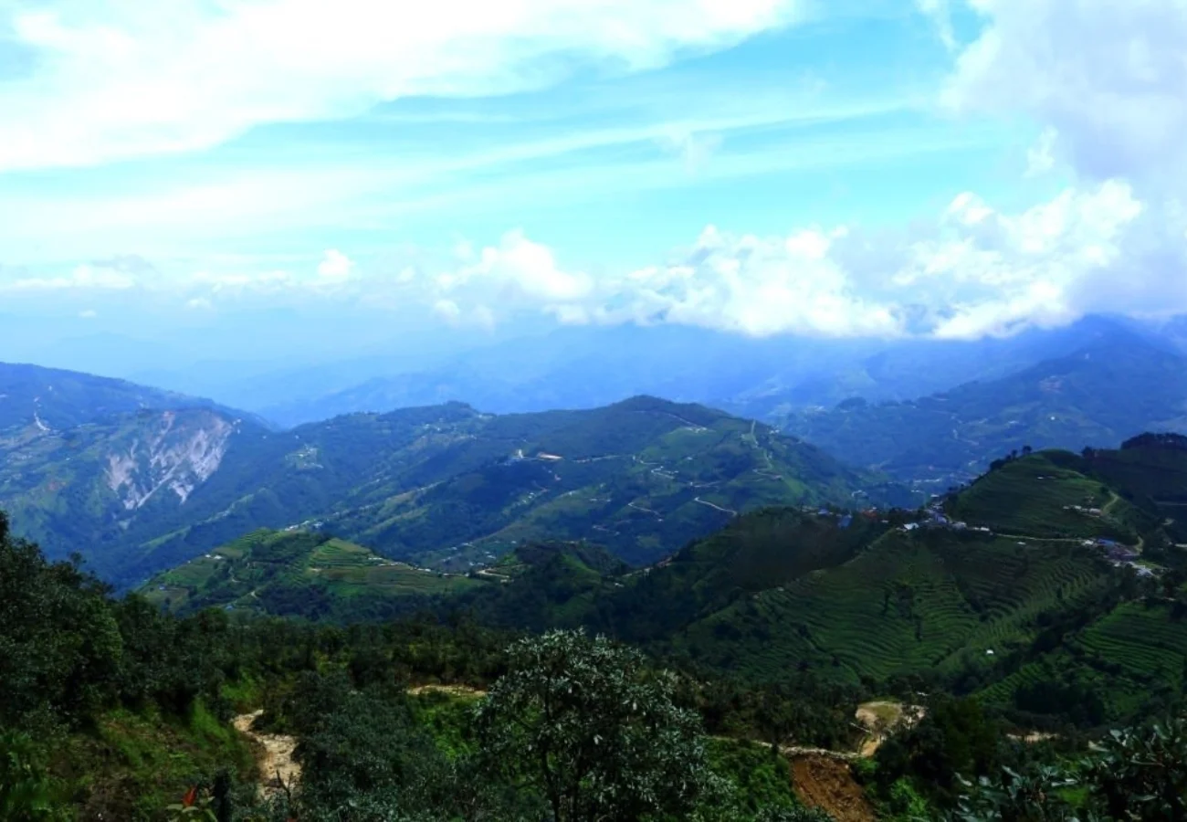 Beautiful panoramic view of lush green forest during the Chispani day hike