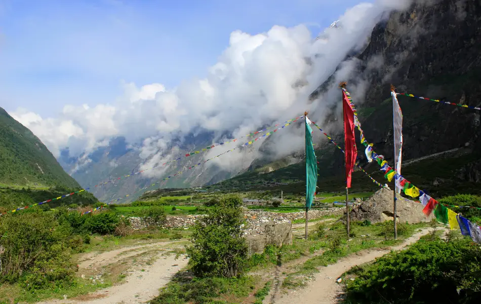 Clear environment with peaceful trails during the Langtang Trek in Spring
