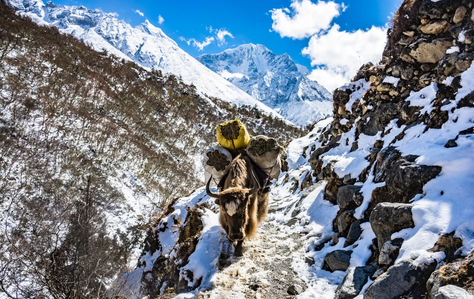 Clear trails during Everest Base Camp Trek in September