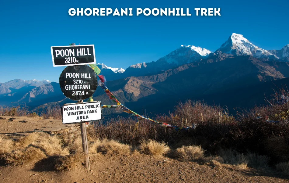 Ghorepani Poonhill Trek, best short treks from Pokhara