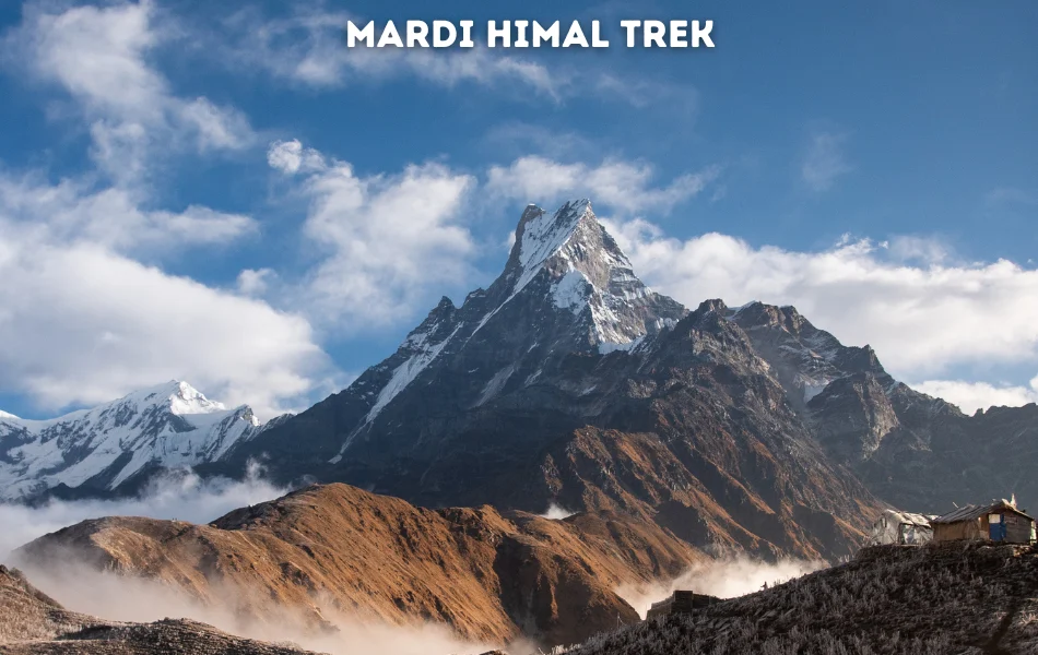 Mardi Himal Trek, best short treks from Pokhara