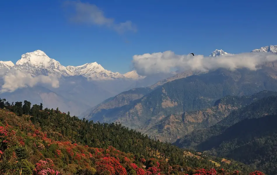 Best time to visit Mardi Himal
