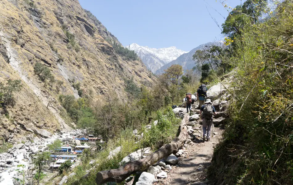 Trekkers trekking to Langtang Valley in Spring