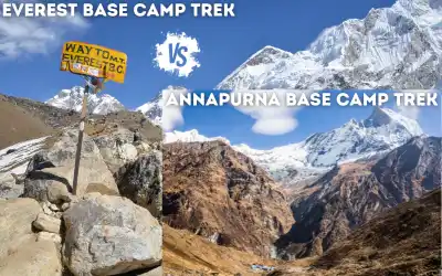 Everest Base Camp Trek vs Annapurna Base Camp Trek