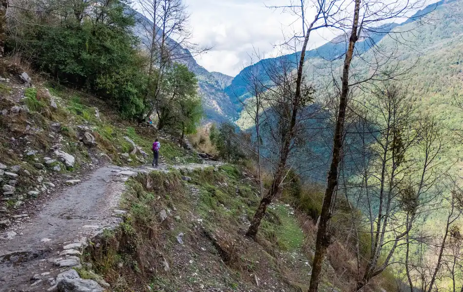 narrow trails on the hill during Annapurna Base Camp Trek
