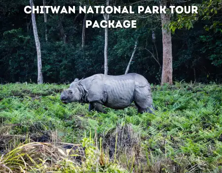 Chitwan National Park Tour Package